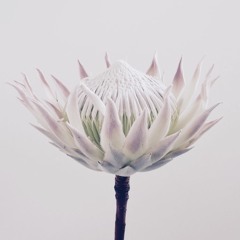 Under the bridge-title (Artem zinkevuch-piano&Nata zinkevuch-drum).mp3