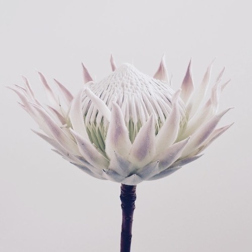 Under the bridge-title (Artem zinkevuch-piano&Nata zinkevuch-drum).mp3