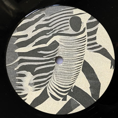 PREMIERE: S-Pazz - Desired Unity