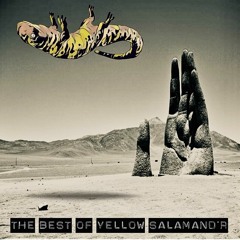 Via de Acceso Presenta: Yellow Salamandr "Best Of"
