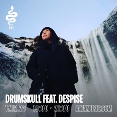 Drumskull feat. Despise - Aaja Channel 2 - 17 12 23