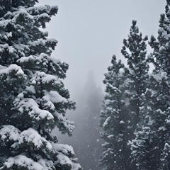 Sleet