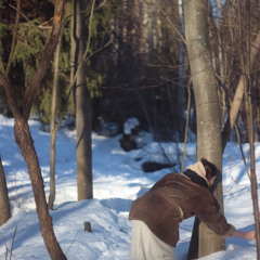 я бежал по лесу догоняя миг