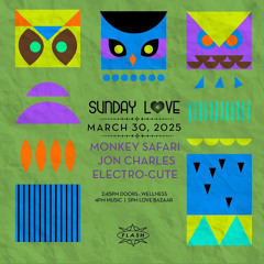 Opening Set for Monkey Safari, Live @ Sunday Love, Flash, Washington DC 3.30.25