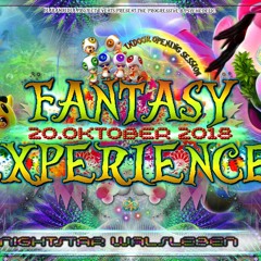 DJMikelJulien @Fantasy Experience 20.10.2018