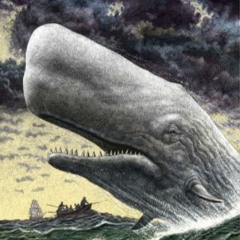 [Shpénoïde]-[Moby Dick Essence]