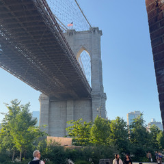 brooklyn bby