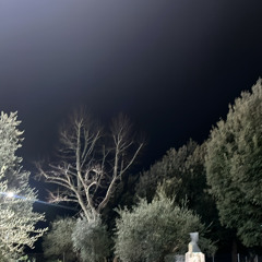 yet another stream of thoughts....