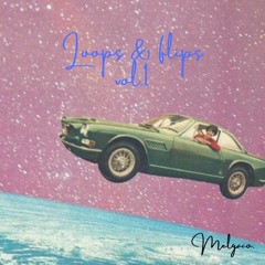 loops & flips vol.1