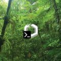Ribbiting Game Plan - Calm