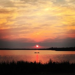 They Wanna Be Free - 2025-03-16, 11.55 AM