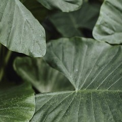 Blanton's has left the chat