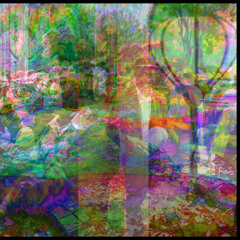 a state of inspiration | untitled project 002 sessions | ambient atmospheric woodland jungle drone WIP | check v1 70 bpm