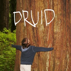 Druid