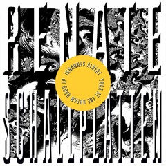 PREMIERE: Johannes Albert - 1 - 800 - PIANO [Renate Schallplatten]