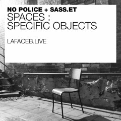 SPACES #6: Specific Objects