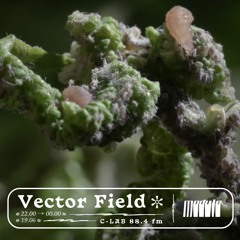 Vector Field - Module 19/06/2022