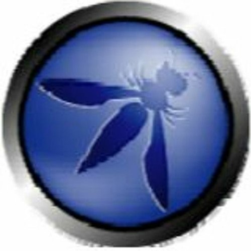 sophitia spring2024 clips