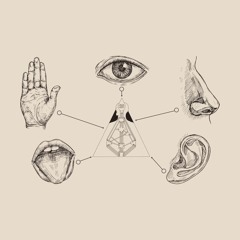 Excerpt from The Senses of The BodyGraph | Lesson 1 of Rave Anatomy 1
