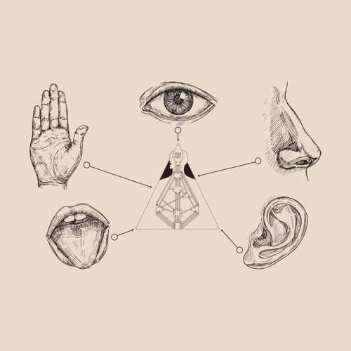 Excerpt from The Senses of The BodyGraph | Lesson 1 of Rave Anatomy 1