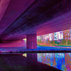 02 Polorized (futuristic race).wav