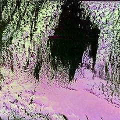 ǝʌıʇɔɐoıpɐɹ