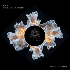 E.F.G. - Rebuild