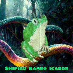 Kambo Icaros 1hr