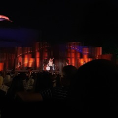 شيروفوبيا - لايف | مسار إجباري