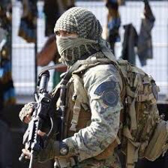 MC SALGADINHO - A TROPA DO LEÃO DO RODO