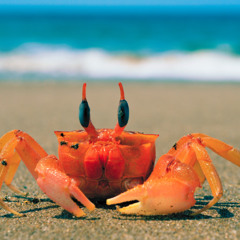 The Crab Dance