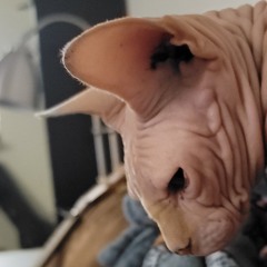 A Lifetime Full of Last Days