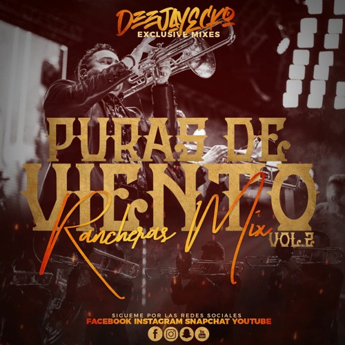 Puras De Viento Vol.2: Rancheras Mix - DeejayEcko