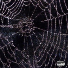 swapa - bag chaser (prod. corey & woppo)