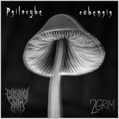 Psilocybe cubensis | Kryptid x DopeMean x PERISHED HART [prod. ARAGOTH]