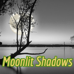 Moonlit Shadows