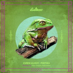 PREMIERE: Evren Ulusoy -  Poetika [Dialtone Records]