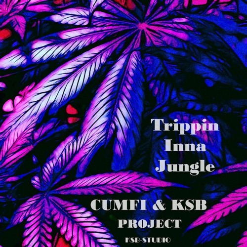 TRIPPIN INNA JUNGLE FEATURING  KILLASOUND BOY