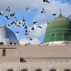 تسبيع البرده بصوت الشيخ العطواني