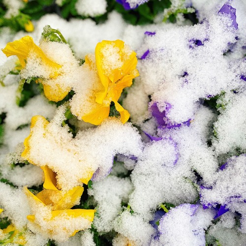 Bite My Tongue - Wilt (GurtyBeats Remix)