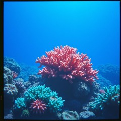 Under Sand Encryption