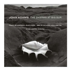 Adams: The Dharma at Big Sur, Pt. II: Sri Moonshine