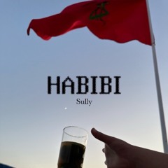 Habibi