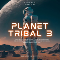 PLANET TRIBAL 3