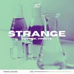 NIVVEK, VINNYS - Strange (Extended Mix)