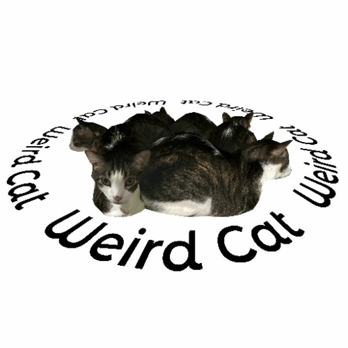 Weird Cat
