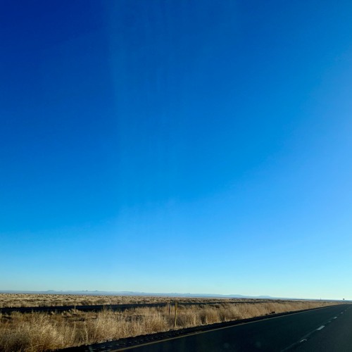 REC Live - 2024 - 01 - 27