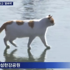 can you se huh⁉️🗣️