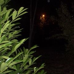 fleeting frozen kyoto ballad