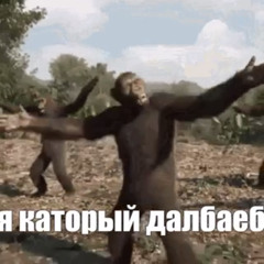 кола добри